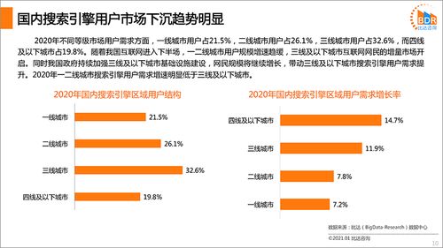国内搜索引擎产品市场发展报告2020（简版） 信息安全软件开发视角
